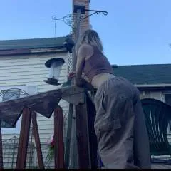 Sorrelswoods photo on Jungo Live