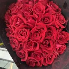 Jony photo on Jungo Live