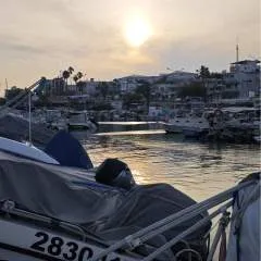 Mrtank photo on Jungo Live