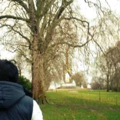 Obsidianclock photo on Jungo Live