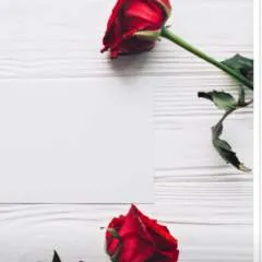 Sunny photo on Jungo Live