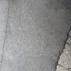 Jay.... photo on Jungo Live