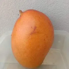 Zack N Zana photo on Jungo Live