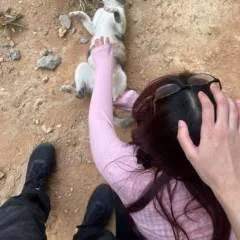 Sam photo on Jungo Live