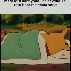 Faggggg photo on Jungo Live