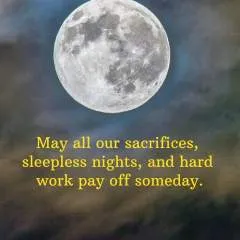 Tommy photo on Jungo Live