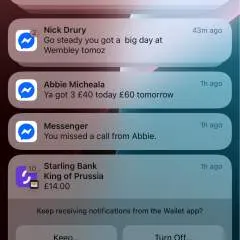 Josh photo on Jungo Live