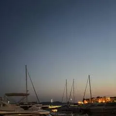 Zana photo on Jungo Live