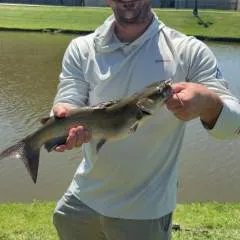 Jandj photo on Jungo Live