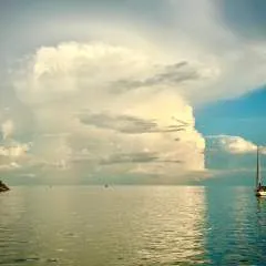 Magda photo on Jungo Live