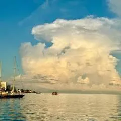 Magda photo on Jungo Live