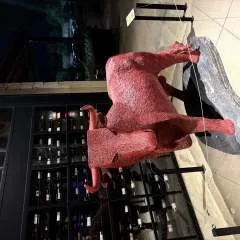 Anonydufreak photo on Jungo Live