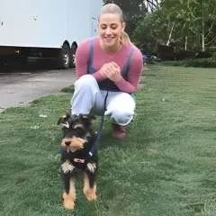 Perrylee02 photo on Jungo Live