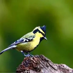 Karan photo on Jungo Live