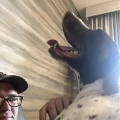 Gavscurosity photo on Jungo Live