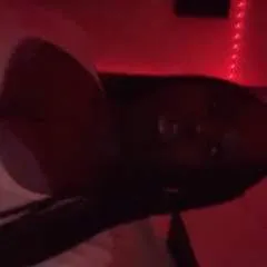 Goddess photo on Jungo Live