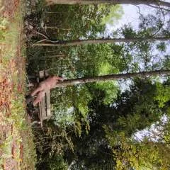 Mrpussylickr photo on Jungo Live