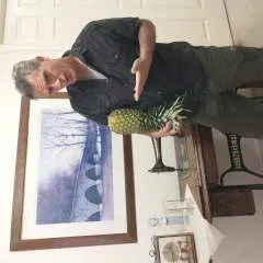 Lunchserved photo on Jungo Live