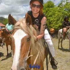 Scorpioncd photo on Jungo Live