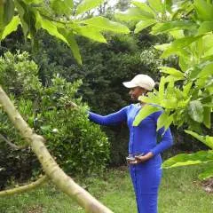 Leila photo on Jungo Live