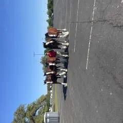 Caroline photo on Jungo Live