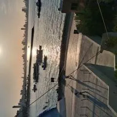 Vk photo on Jungo Live