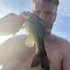 Jtvietri photo on Jungo Live