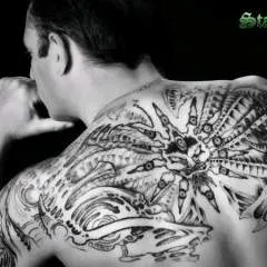 Maynard.... photo on Jungo Live