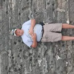 Bobct.... photo on Jungo Live