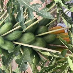 ........hot photo on Jungo Live