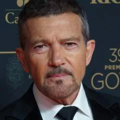 Cut_bull photo on Jungo Live