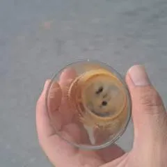 Kinky photo on Jungo Live