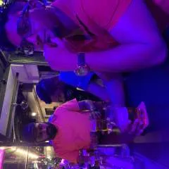 Nerus photo on Jungo Live