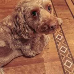 Bimgatio photo on Jungo Live