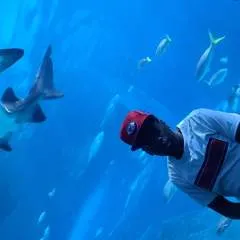 Shon photo on Jungo Live