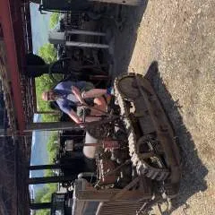 Ace11c photo on Jungo Live