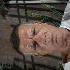 Bostonborn 62 photo on Jungo Live