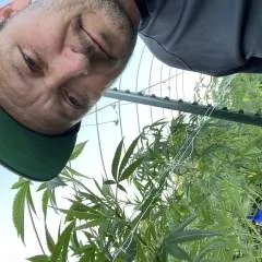 Got photo on Jungo Live