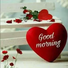 Manjeet photo on Jungo Live