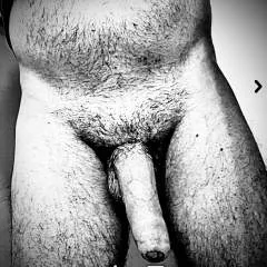 Eurobull photo on Jungo Live