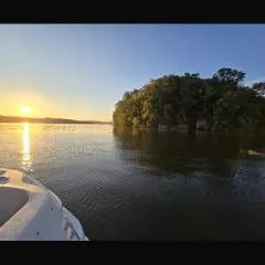 Junglejnt photo on Jungo Live