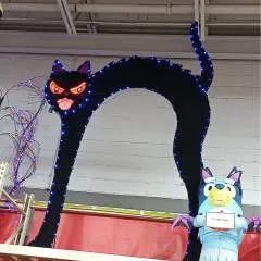 Carelinto photo on Jungo Live