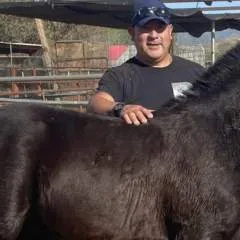 Cawboy Colimense photo on Jungo Live