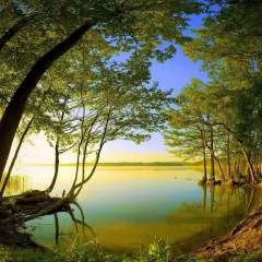 Artur.... photo on Jungo Live