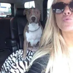 Lizzy73 photo on Jungo Live