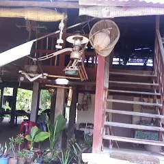 Zeeeriticth photo on Jungo Live