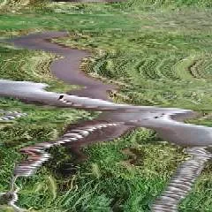 Bobiboby photo on Jungo Live