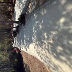 Naughtybest photo on Jungo Live