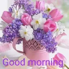 Bkk Enjoy photo on Jungo Live