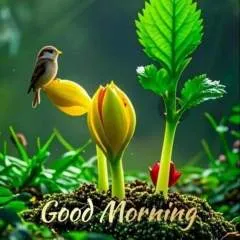 Bkk Enjoy photo on Jungo Live